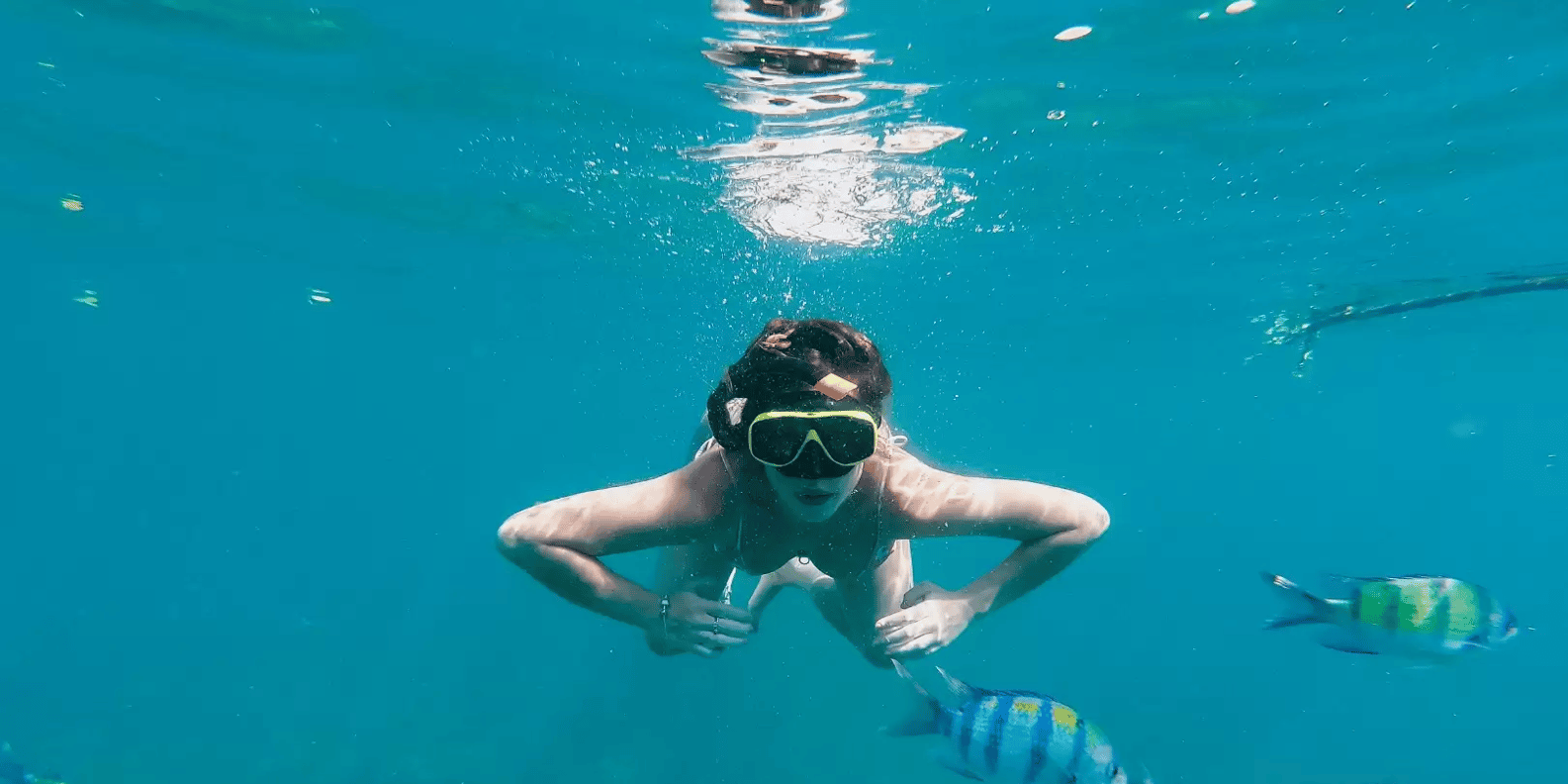 Bali snorkeling tour — underwater marine life and coral reefs — image 6
