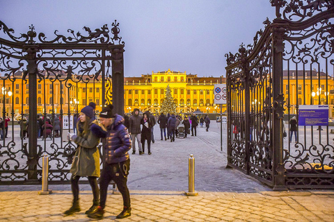 Vienne : Visite du château de Schönbrunn et de ses jardins en coupe-fileVisite en anglais