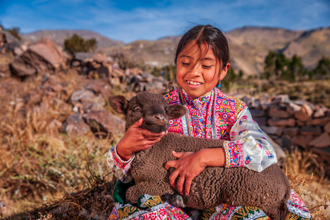 Golden Hour Rundgang in Arequipa mit KaffeeverkostungGolden Hour-Rundgang in Arequipa mit Kaffeeverkostung