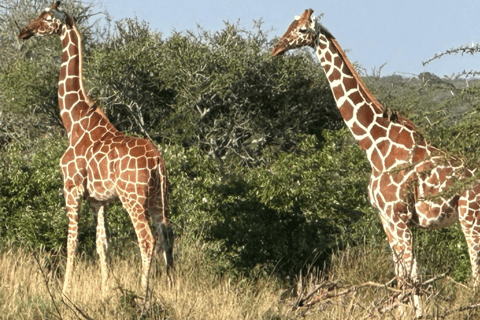 Safari i odkrywanie: rezerwat Bandia i laguna Somone