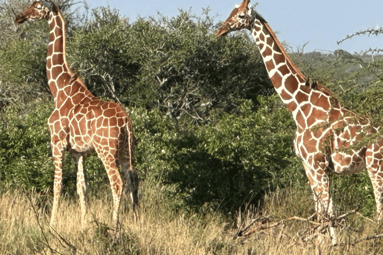 Safari i odkrywanie: rezerwat Bandia i laguna Somone
