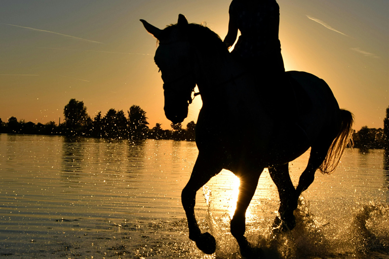 Mahé Island: Jungle and Beach Horseback Riding Tour