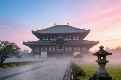 Osaka: Nara Private Day Tour with Todaiji Temple & Nara Park