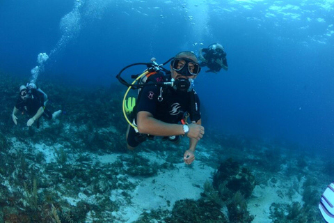 Cancún: 2-Day PADI Open Water Diving Course