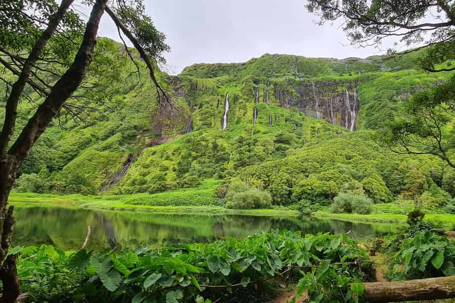 Entdecke Flores – Tagestour | Insel deiner Träume. Foto: GetYourGuide Entdecke Flores – Tagestour | Insel deiner Träume. Foto: GetYourGuide