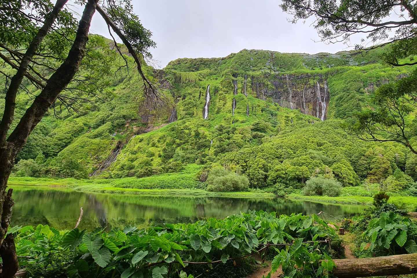 夢の島を巡る完全ガイドツアー