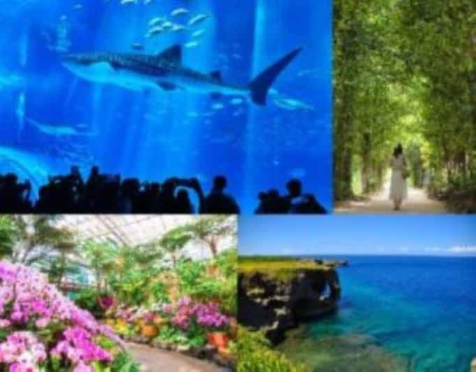Acquario Churaumi, Capo Manzamo, American Village