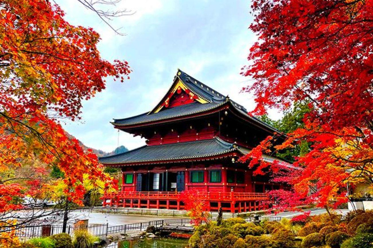Tokyo: Nikko Luxury Private Day Tour with English guide