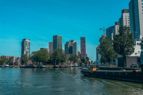 Rotterdam: PRIVATE Highlight & Hidden Gems Walk With Local