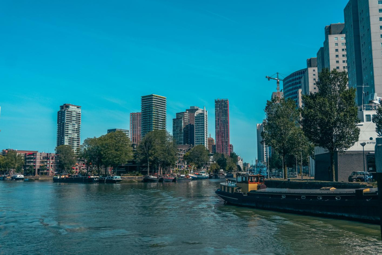 Rotterdam: PRIVATE Highlight & Hidden Gems Walk With Local