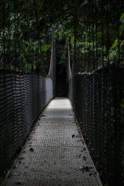 Visita guiada a los puentes colgantes en el parque Mistico - Hizvo