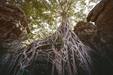 Siem Reap : Private Tuk-Tuk Tour of the Magnificent Temples.