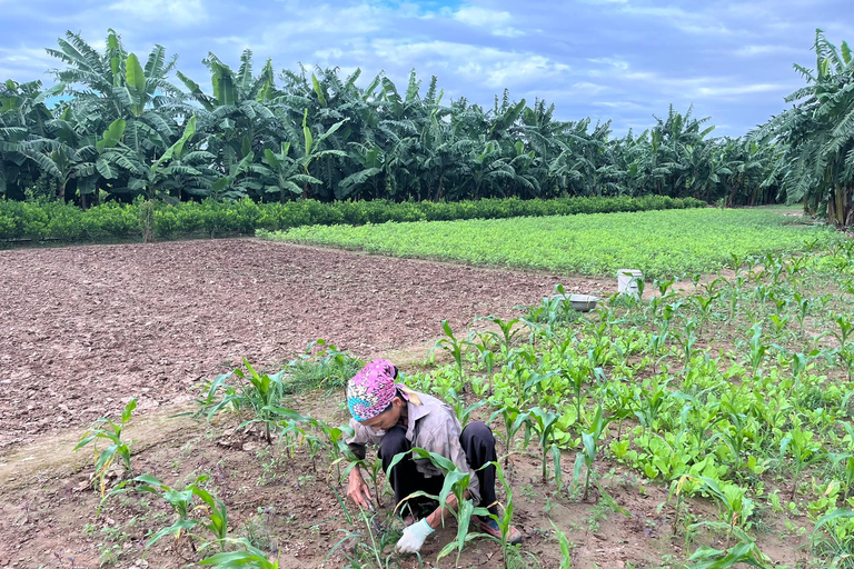 河内吉普车探索之旅：河内希尔顿、城堡、B52和火车站乘坐吉普车探索河内市
