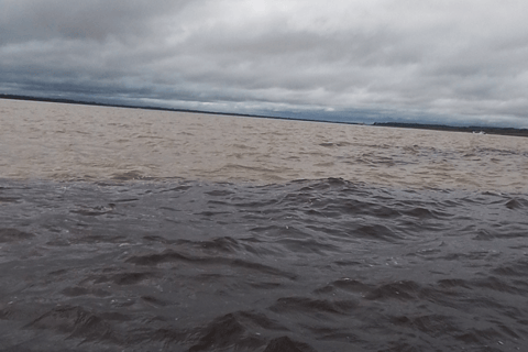 Private Tour of the Rio Negro/Natural Beauties of the Amazon