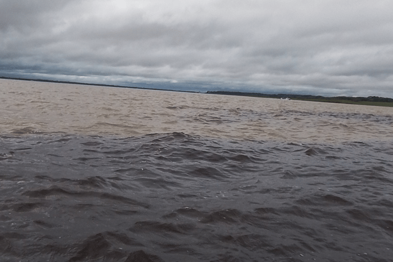 Private Tour of the Rio Negro/Natural Beauties of the Amazon