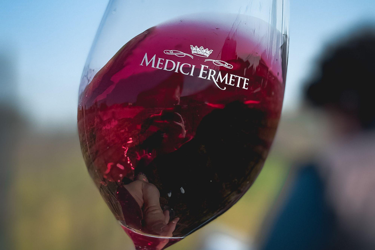 Balsamic Vinegar, Wine Tasting & Tour near Parma & Reggio Balsamic Vinegar & Wine Tasting in Reggio Emilia - Italiano