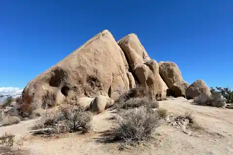From San Diego: Joshua Tree National Park Private Tour