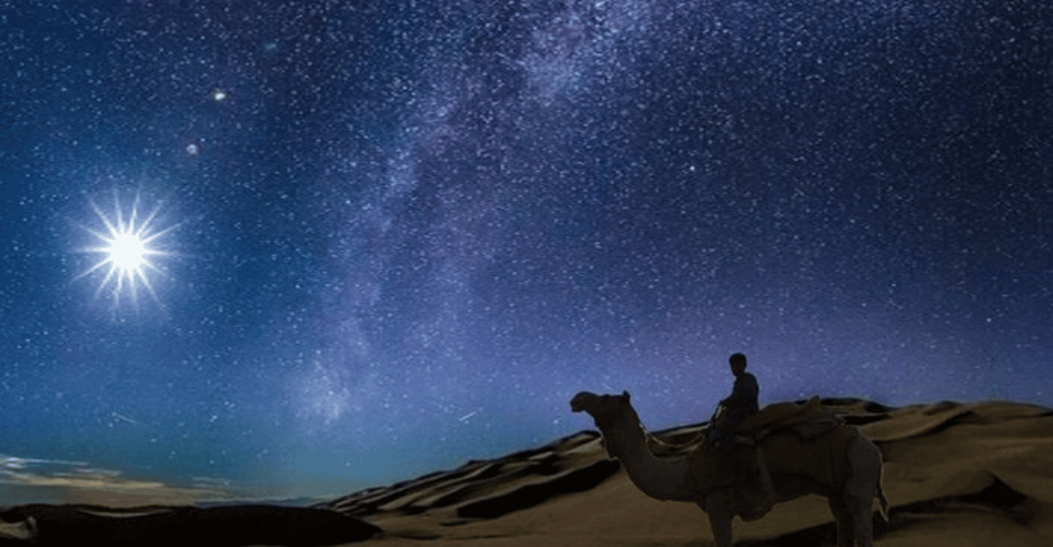 Doha: Night Desert Safari with Stargazing & Camel Ride