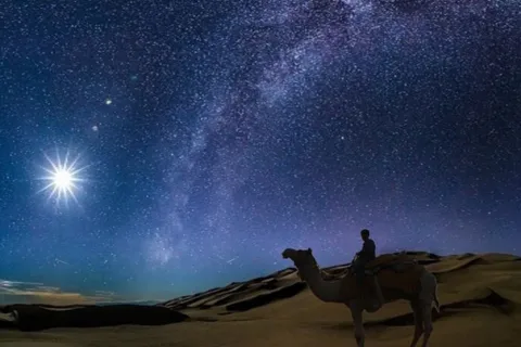 Doha: Nachtelijke woestijnsafari met sterren kijken en kamelenrit