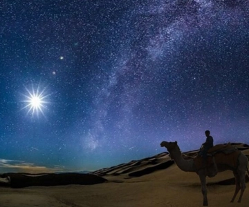 Doha: Night Desert Safari with Stargazing & Camel Ride