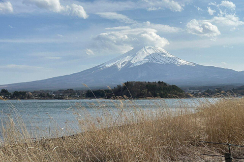 MOUNT FUJI FULL DAY CUSTOMIZED PRIVATE (ENGLISH GUIDED) TOUR