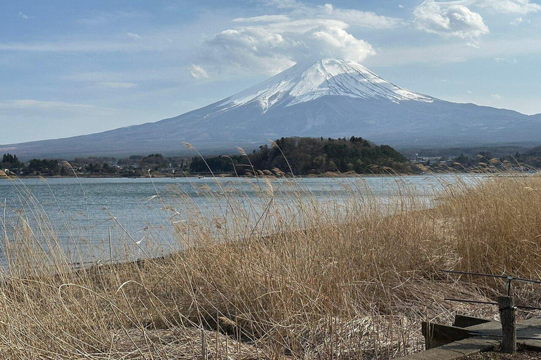 MOUNT FUJI FULL DAY CUSTOMIZED PRIVATE (ENGLISH GUIDED) TOUR