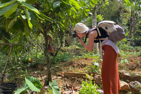 Ella : Clase de cocina con increíble visita al Jardín de las Especias