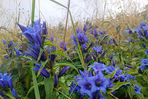 Bovec: Mountain Sunset Wine Tasting With Transfers And Guide