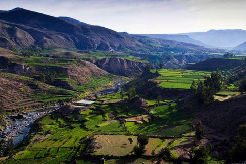 Aventure de 2 jours dans le Canyon de Colca depuis Arequipa + Hôtel