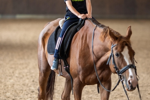 Arusha: Horseback Riding Experience