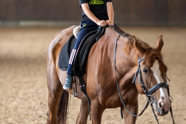 Arusha: Horseback Riding Experience