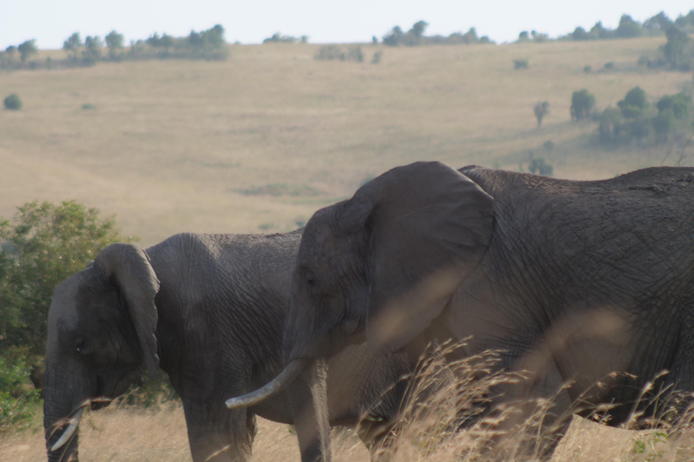 5 Days Amboseli / Tsavo West &amp; Tsavo East Safari5 Days Amboseli / Tsavo East &amp; Tsavo West Safari