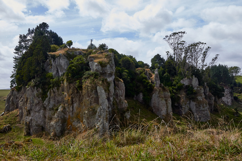 Depuis Auckland ou Rotorua : Hobbiton et Waitomo avec déjeuner