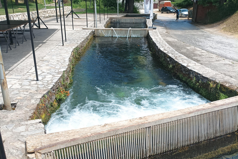 Skopje : Tetovo, Mavrovo, Galicnik et John Bigorski - Excursion d'une journéeSkopje : excursion d'une journée à Tetovo, Mavrovo, Galicnik et John Bigorski
