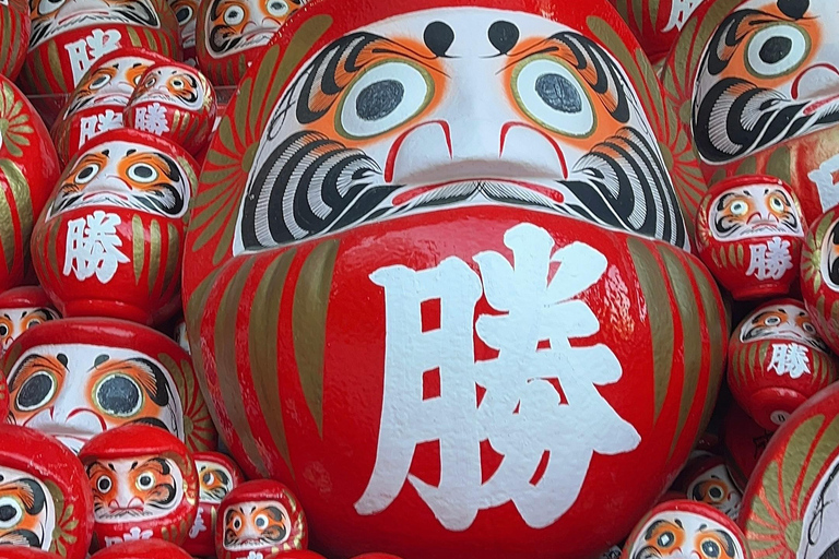 Kyoto/Osaka: Kyoto&Nara Private Customized Guided Tour