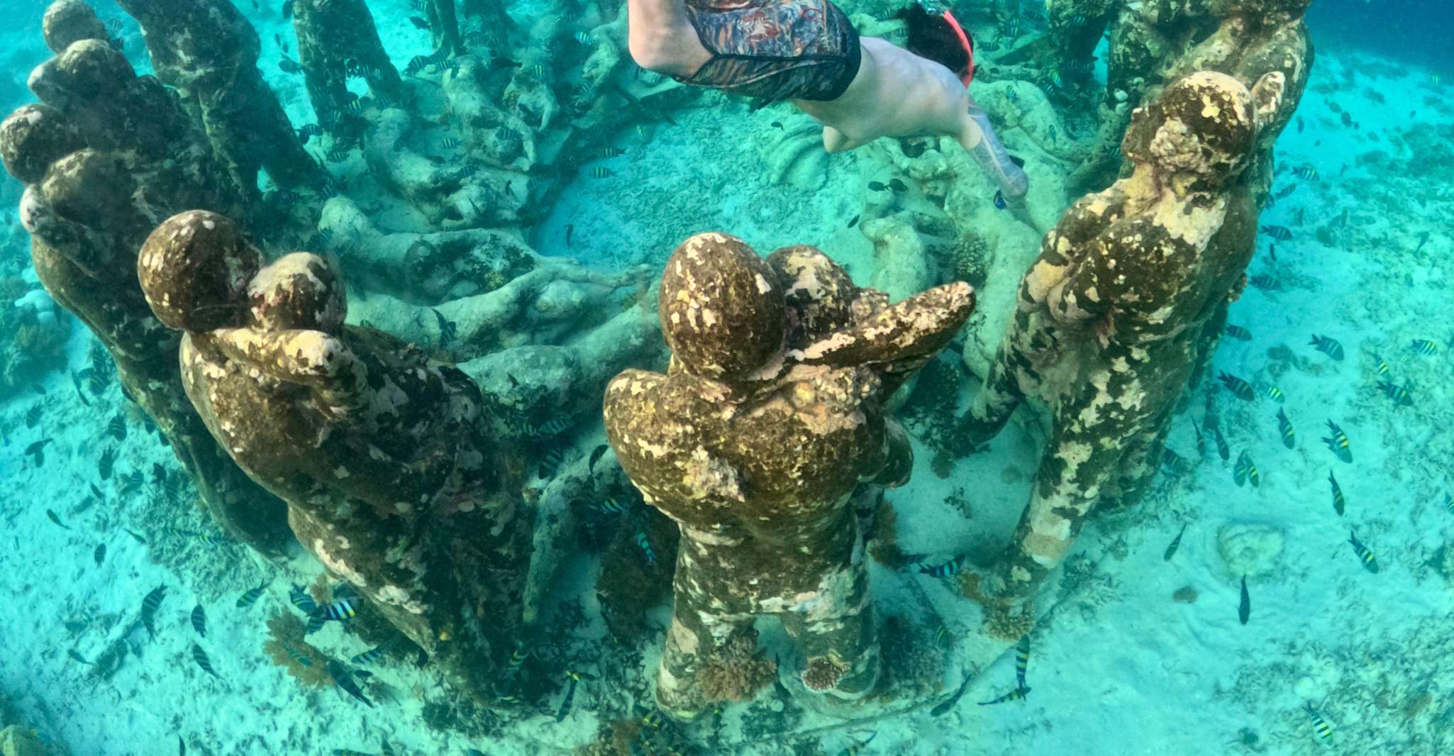 Îles Gili, voyage en bateau de plongée privée ou partagée - Hizvo