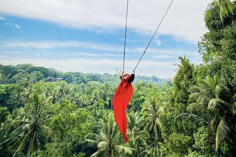 Ubud: Waterfalls, Sacred Monkey Forest & Rice Terraces Tour Private Half-Day Tour (5-6 Hours)