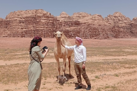 Wadi Rum: Night with your choice of experience Wadi Rum: Night with camel/goat milking