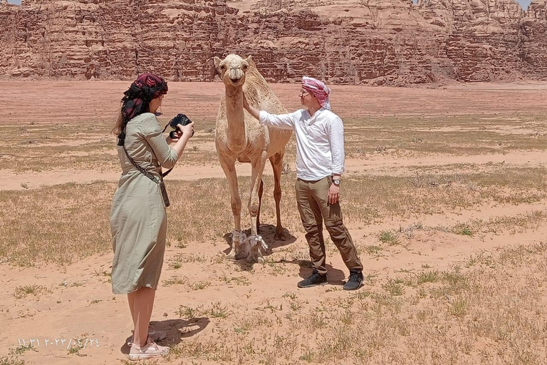 Wadi Rum: Paseo en camello con degustación de té tradicional