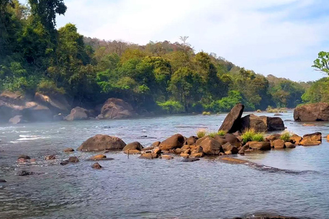 Athirappilly Waterfalls from Cochin – One Day Tour