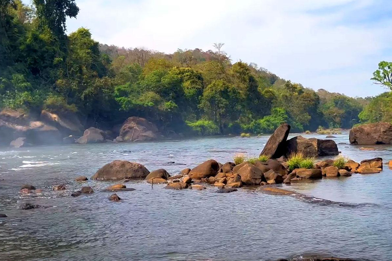 Athirappilly Waterfalls from Cochin – One Day Tour