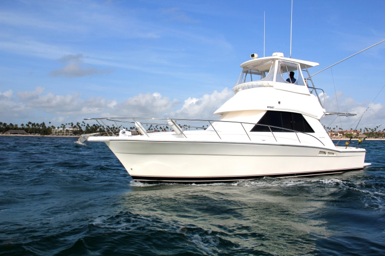 Private Fishing Charters "Gone Dog" 37' Boot Offshore TripPrivate Fishing Charters "Gone Dog" 37' Boot 6 Stunden Fahrt