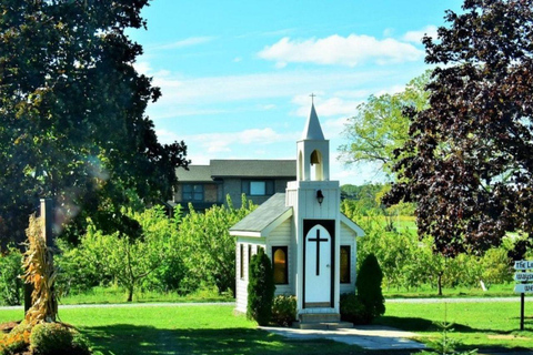 Visite des chutes du Niagara au départ de Toronto avec Niagara Skywheel