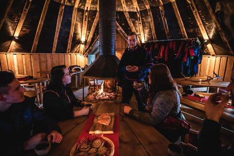 Rovaniemi: Northern Lights Reindeer Sleigh Ride 3,5km