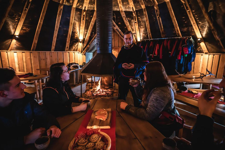 Rovaniemi: Northern Lights Reindeer Sleigh Ride 3,5km