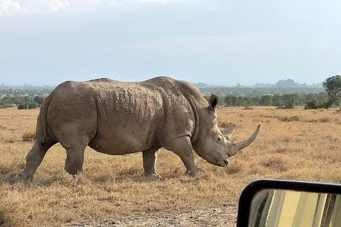 Vanuit Nairobi: Mount Kenia wandel- en safaritocht