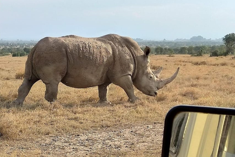 Vanuit Nairobi: Mount Kenia wandel- en safaritocht