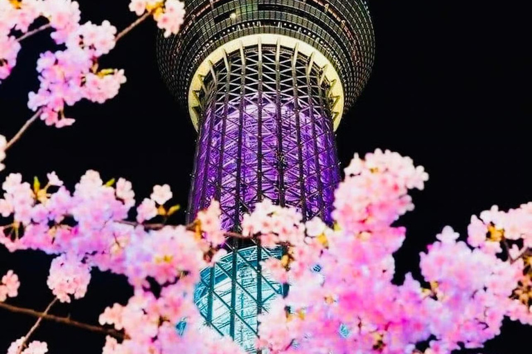 Tokyo: Tokyo & Yokohama Private Night Tour with Hotel Pickup