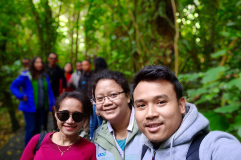 Kāpiti: Kiwi Icons Tour at Ngā Manu Nature Reserve