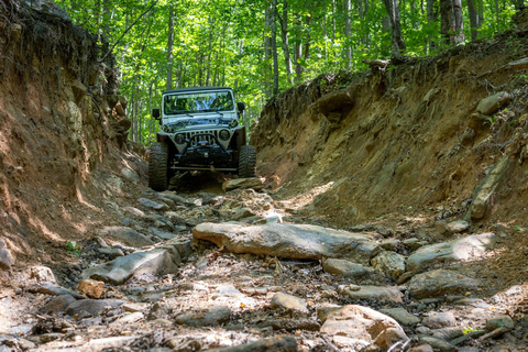 巴图米：森林和瀑布全天越野探险
